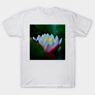 Pygmy Water-Lily T-Shirt